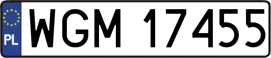 WGM17455