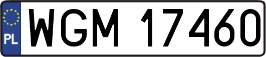 WGM17460