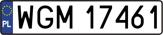 WGM17461