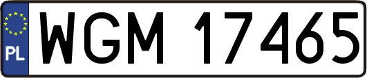 WGM17465