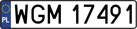 WGM17491