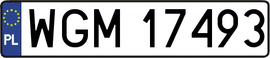WGM17493