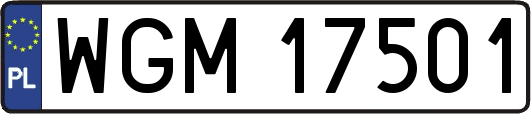 WGM17501