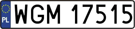 WGM17515
