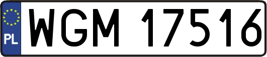 WGM17516