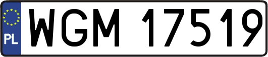 WGM17519