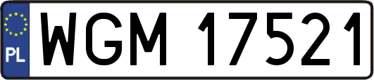 WGM17521
