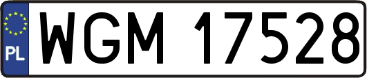 WGM17528
