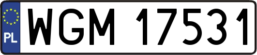 WGM17531