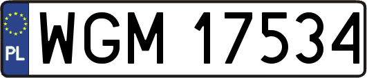 WGM17534