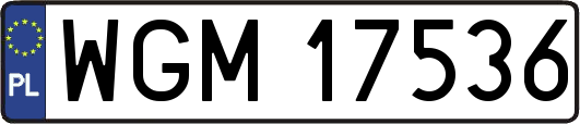 WGM17536