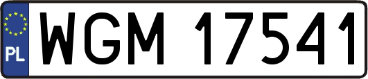 WGM17541