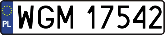 WGM17542