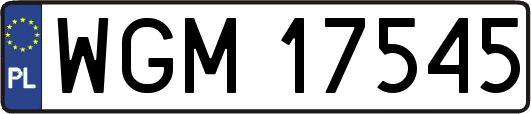 WGM17545