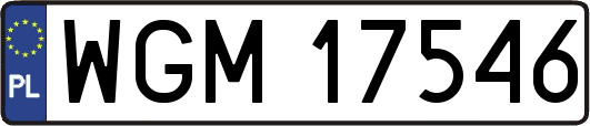 WGM17546