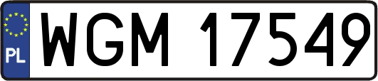 WGM17549