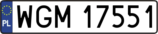 WGM17551
