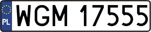 WGM17555