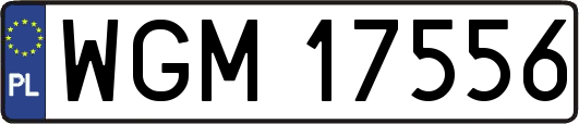 WGM17556