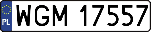 WGM17557