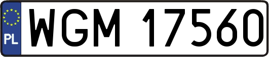 WGM17560