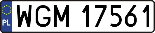 WGM17561
