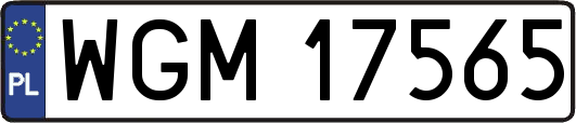 WGM17565