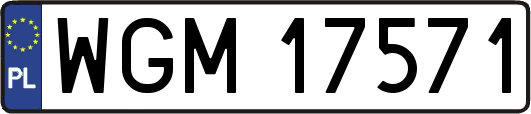 WGM17571