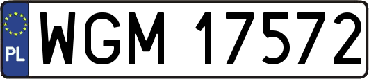 WGM17572