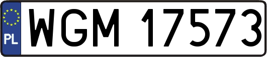 WGM17573