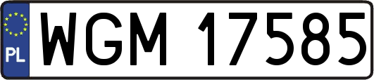 WGM17585