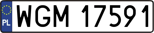 WGM17591