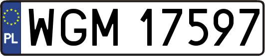 WGM17597