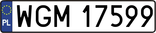 WGM17599