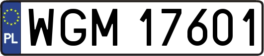 WGM17601