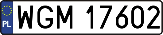 WGM17602