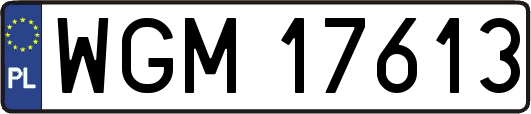 WGM17613
