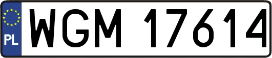 WGM17614