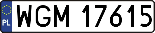 WGM17615