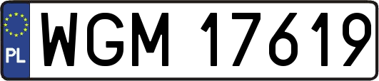 WGM17619