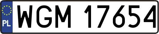 WGM17654