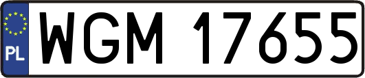 WGM17655