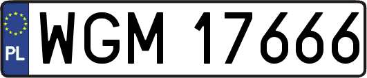 WGM17666