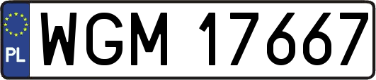 WGM17667