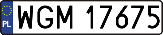 WGM17675