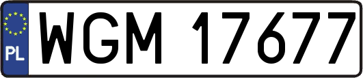 WGM17677