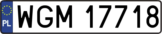 WGM17718