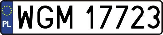 WGM17723