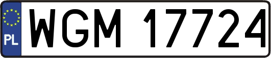 WGM17724