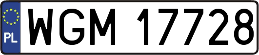 WGM17728